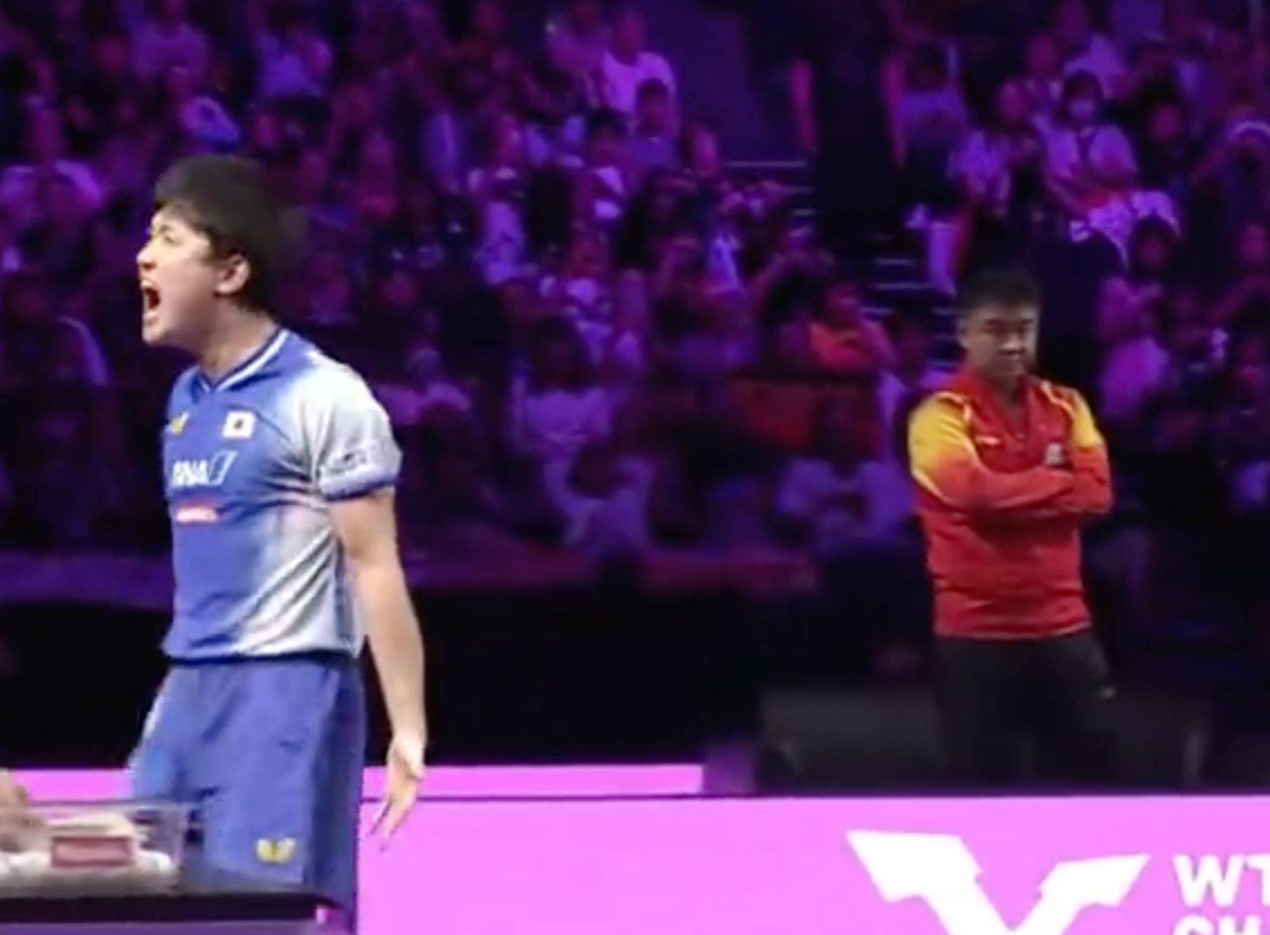 德国乒乓球队轻取波兰乒乓球队，王皓制霸全场的简单介绍