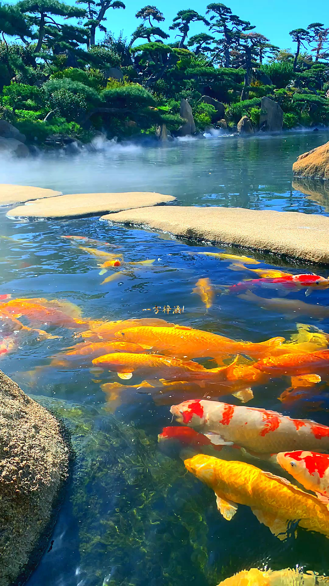 精彩犹如行云流水，让人永远难以忘怀