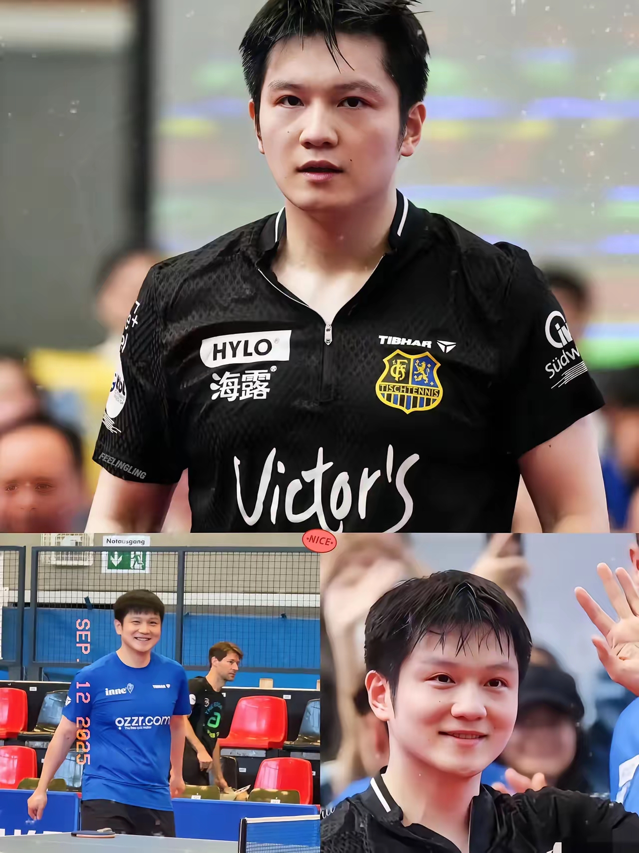 包含德国队绝杀韩国队，王皓惊艳四座的词条