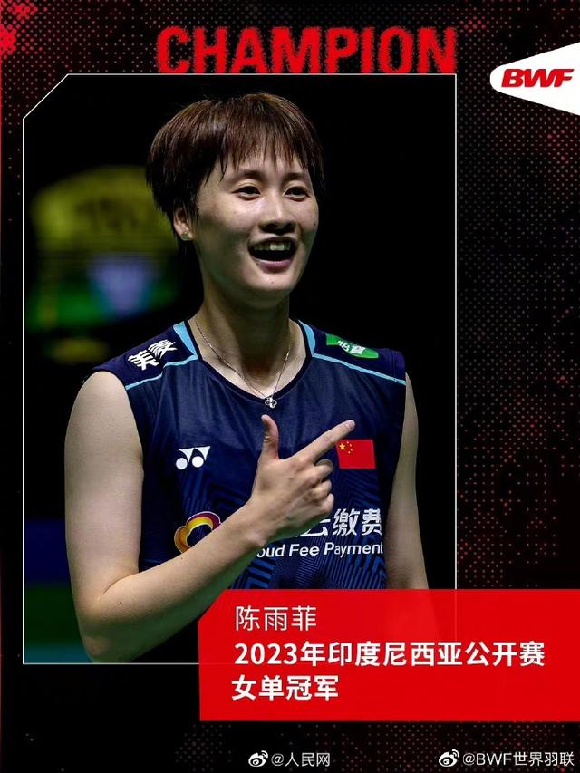 中国队逆转印尼队，马琳带队取胜